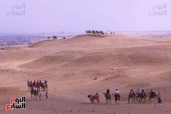 رحلات الجمال في الأهرامات