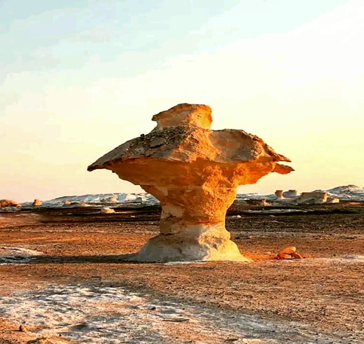 الصحراء البيضاء متحف بيئي مفتوح الصحراء البيضاء متحف بيئي مفتوح