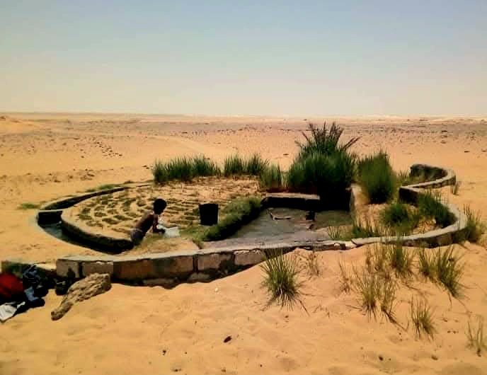 عين خضرا بالصحراء البيضاء عين خضرا بالصحراء البيضاء