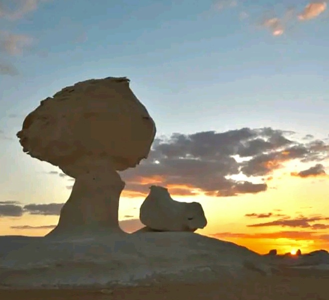 وادى المشروم_1 وادى المشروم_1