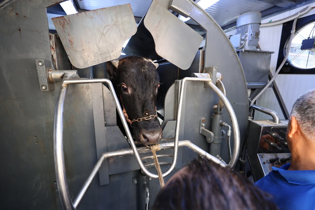 آلية عمل المجزر