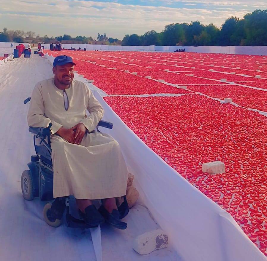 مهندس زراعى من ذوى الهمم يشرف على موسم تجفيف الطماطم مهندس زراعى من ذوى الهمم يشرف على موسم تجفيف الطماطم