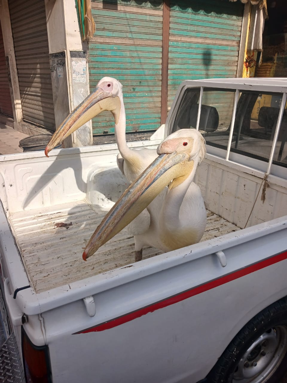 WhatsApp Image 2025-11-16 at 12.00.07 PM