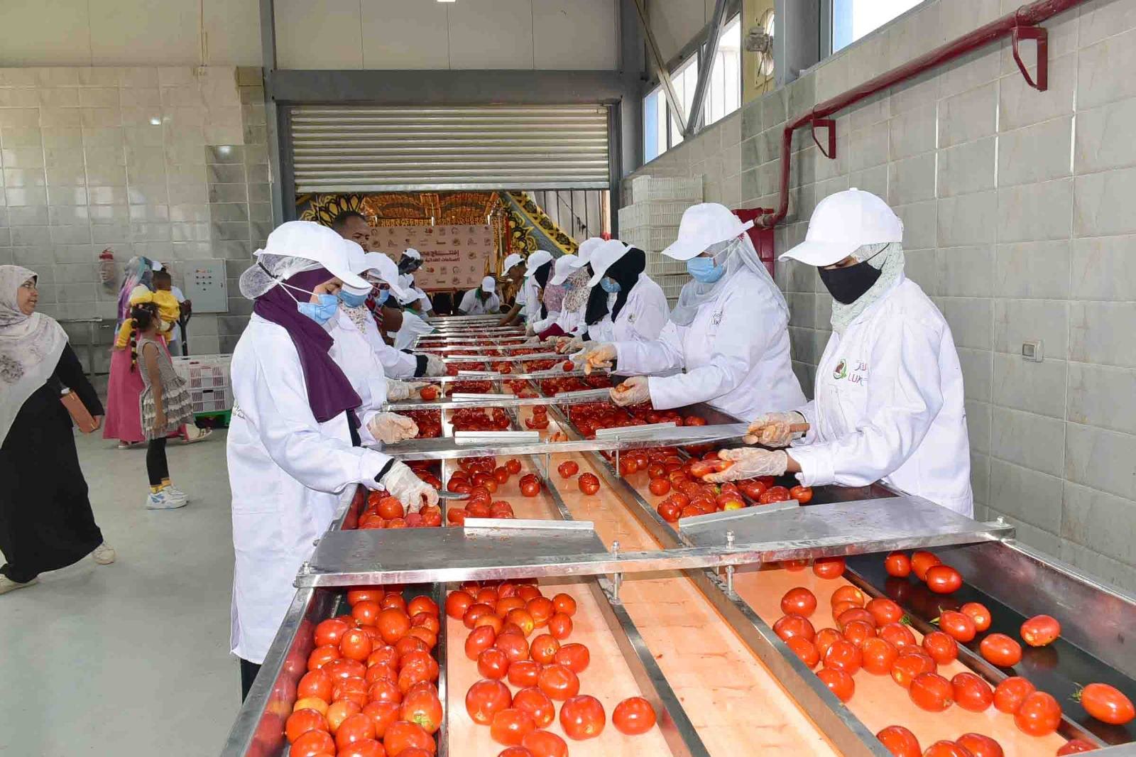 توفير فرص عمل للفتيات فى مجمع الصناعات الغذائية بمدينة إسنا توفير فرص عمل للفتيات فى مجمع الصناعات الغذائية بمدينة إسنا