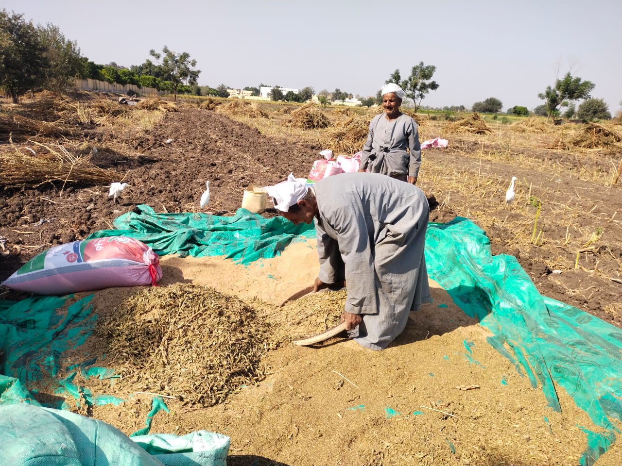 خلال عملية التعقيب