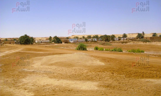 اطراف-واحة-قارة-ام-الصغير اطراف-واحة-قارة-ام-الصغير