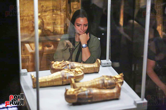 جولة المواطنين للمتحف الكبير جولة المواطنين للمتحف الكبير