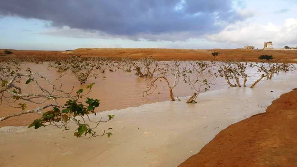 تنمية وتاهيل وديان مطروح بحصاد الامطار