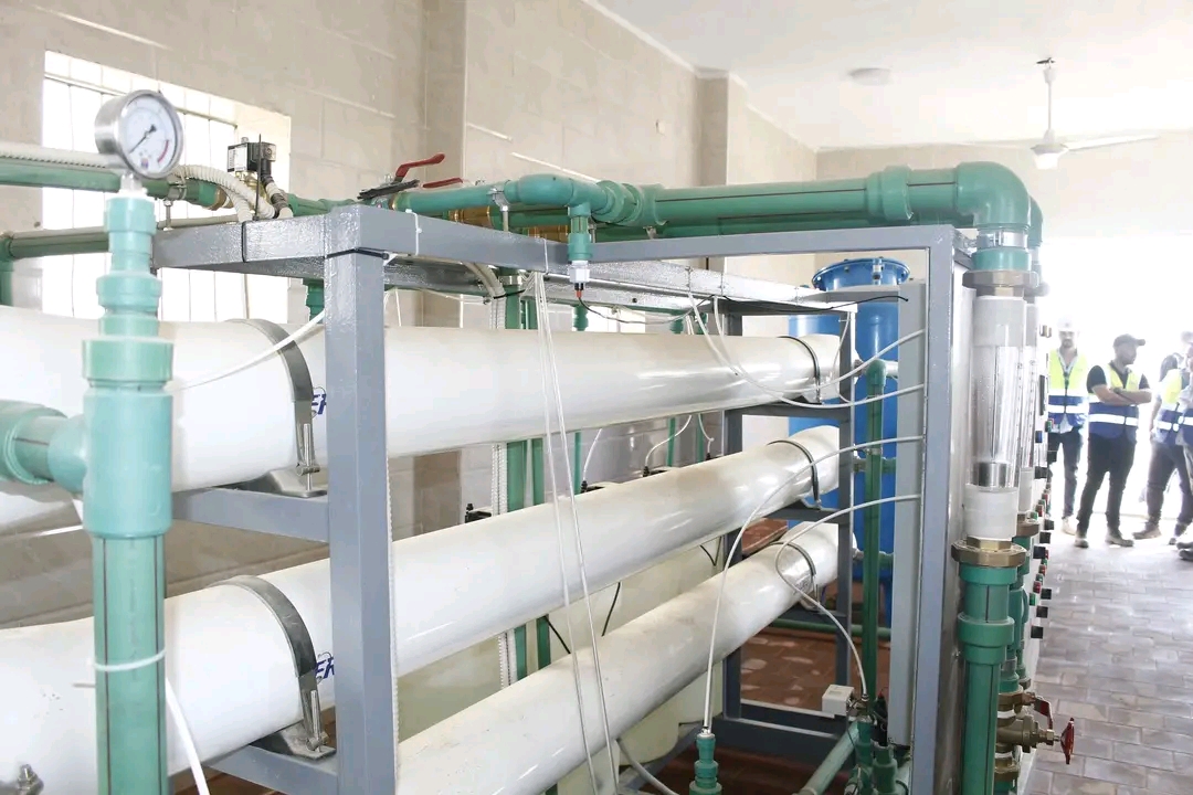 1763238179094 1763238179094