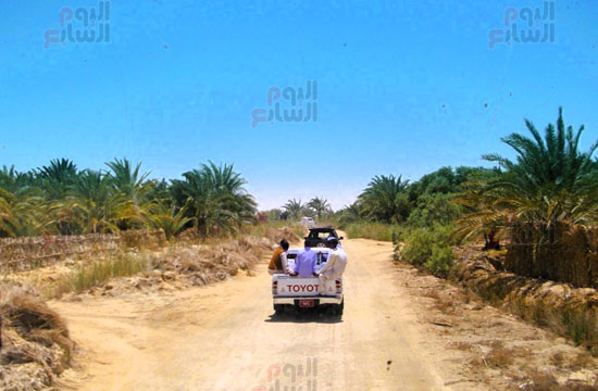 مدخل-واحة-قارة-ام-الصغير مدخل-واحة-قارة-ام-الصغير