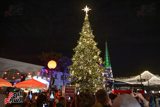 شجرة عيد الميلاد