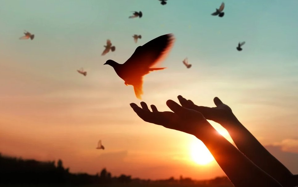 يوم التسامح يوم التسامح