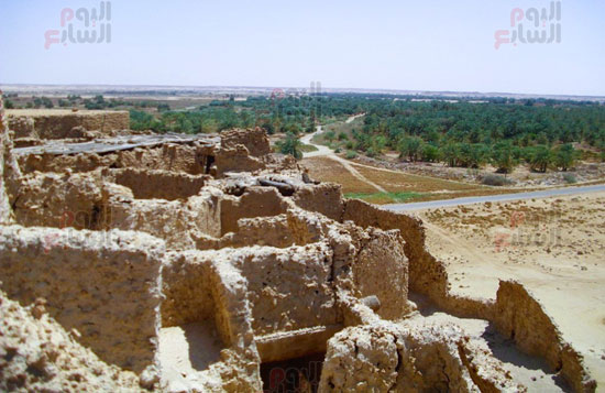 قارة-أم-الصغير-أصغر-واحة-مصرية-معزولة-في-الصحراء-(1)