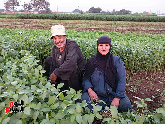 ابتسامة-وسط-الغيطان