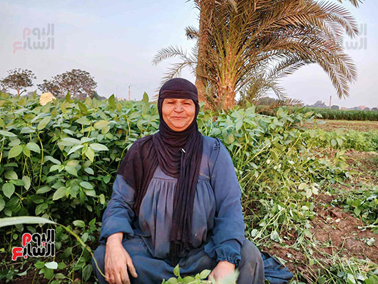 صوت-مصرى-اصيل