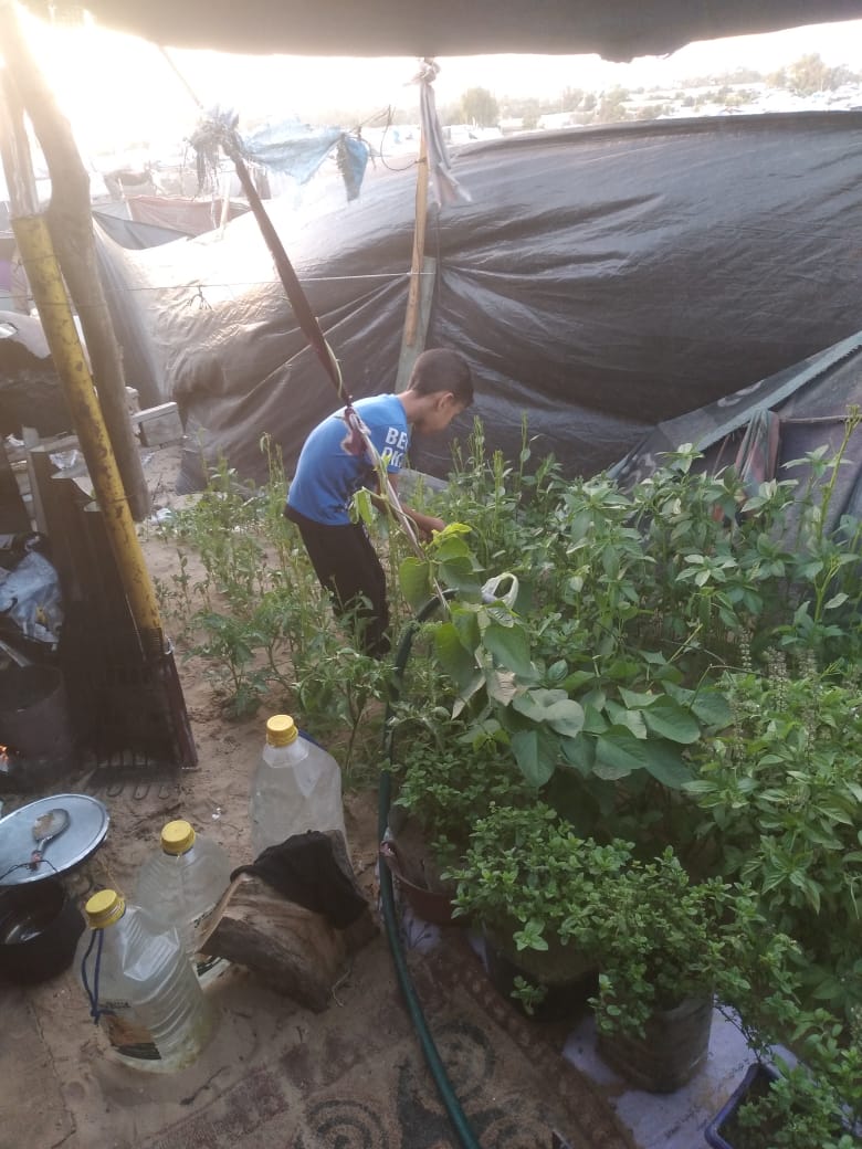 يامن أبو هلال قبل الحرب