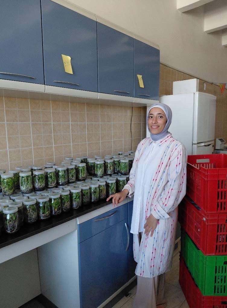 معمل زراعة الأنسجة النباتية بزراعة طنطا  (1)