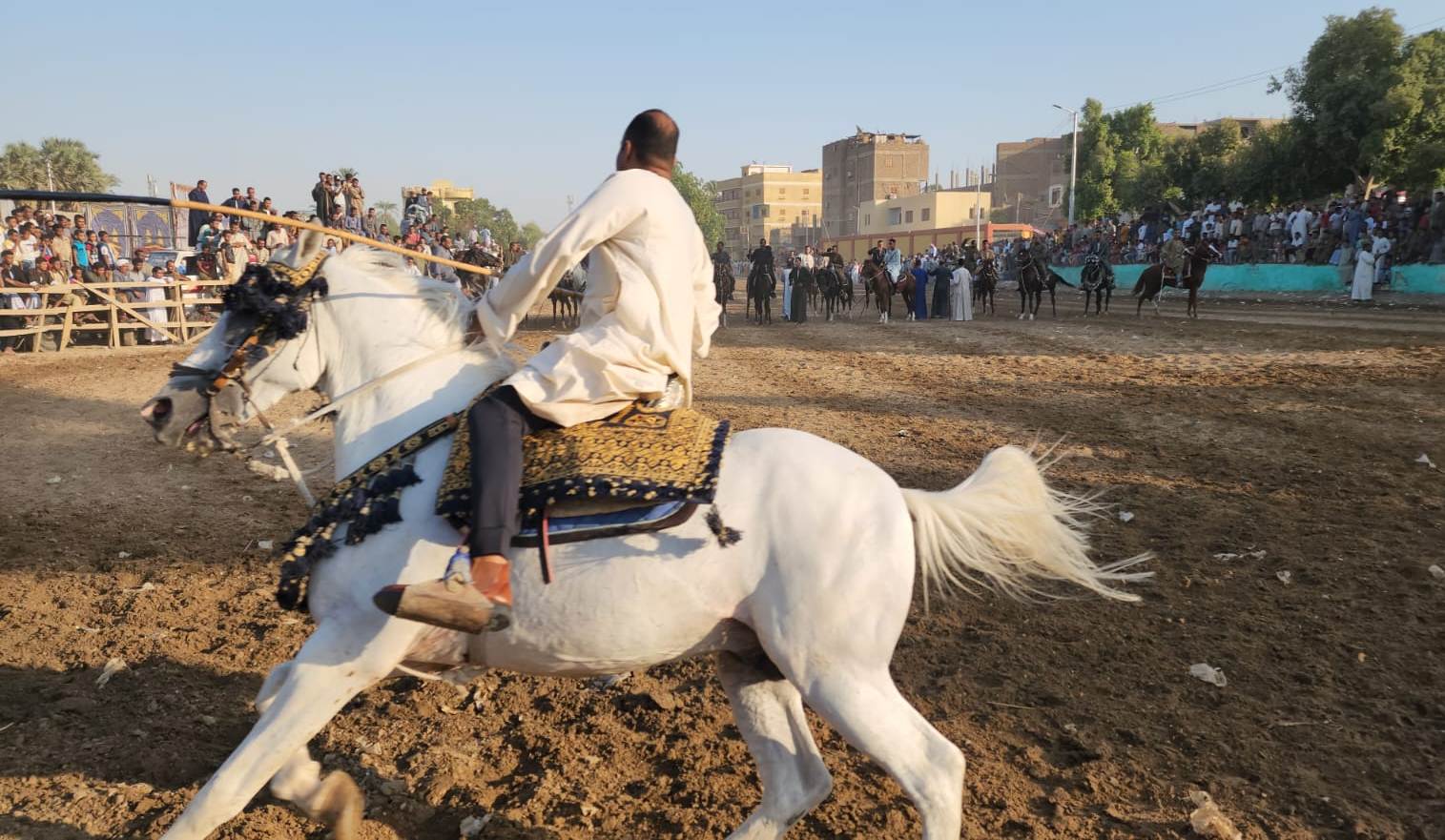 199021-الأقصر-٤_2