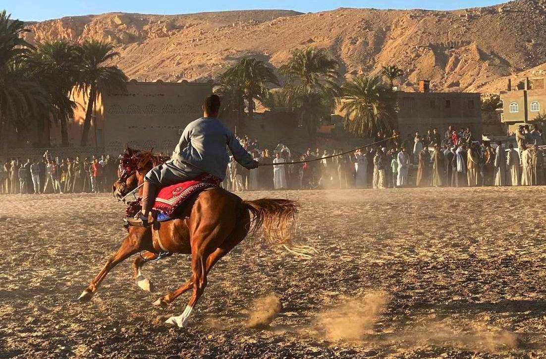 217845-الأقصر-٣_7