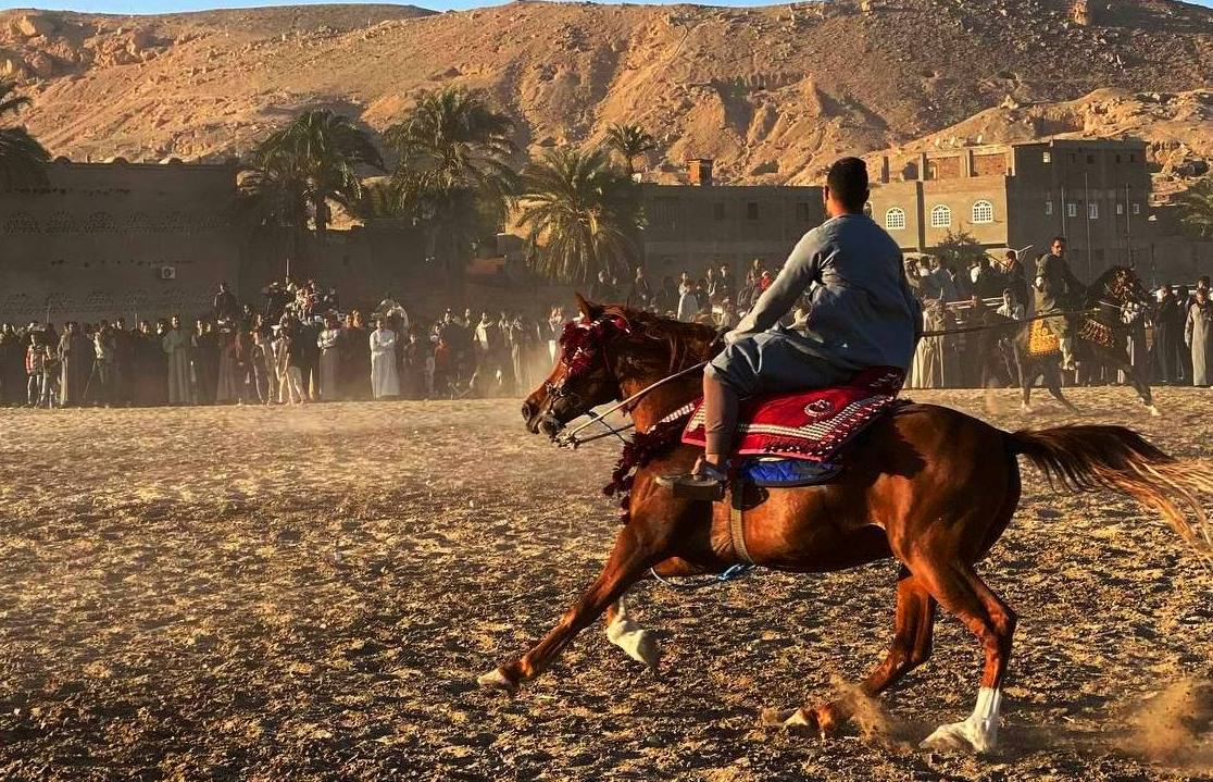 236300-الأقصر-٨_6