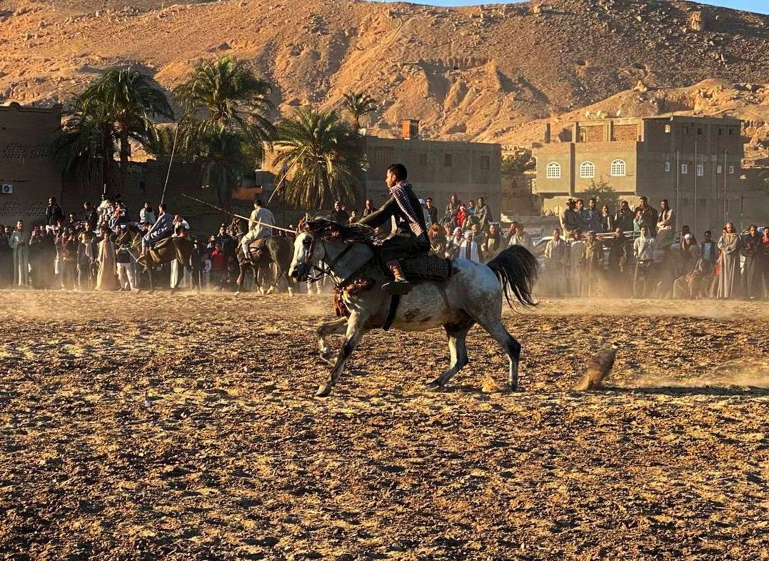 302312-الأقصر-٢_5