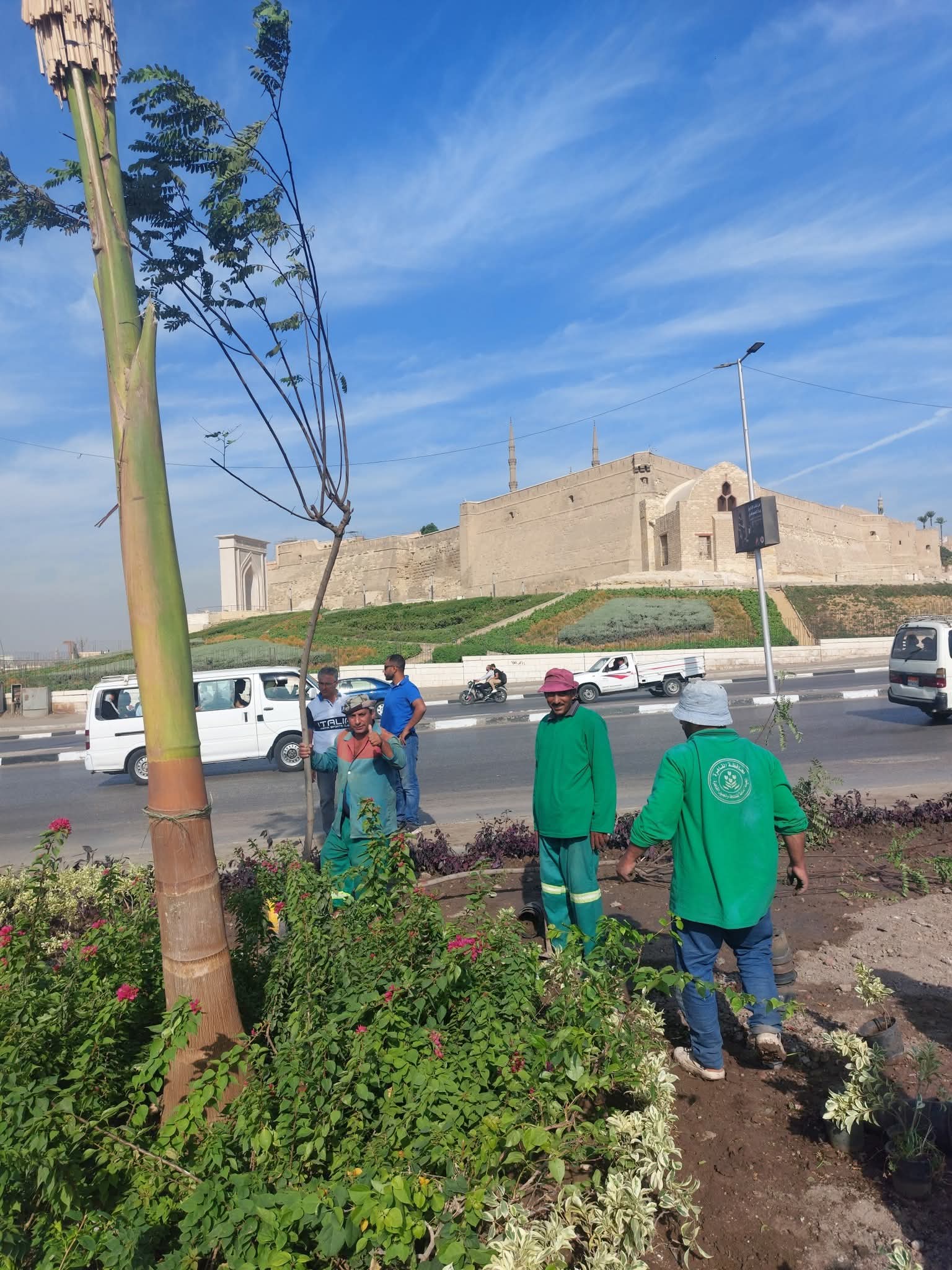 فريق عمل المشروع يجوب ميادين القاهرة