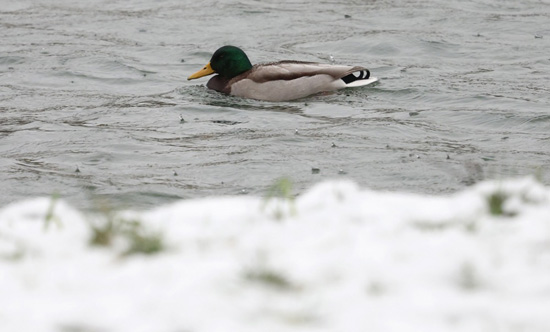 ثلوج كثيفىة تغطى شوارع العاصمة الروسية موسكو (5)