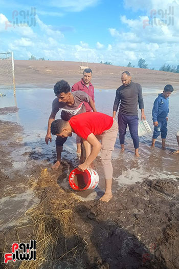 نزع الشباب المياه بالجرادل