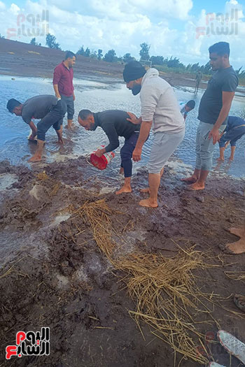 تعاون شباب القرية في رفع المياه