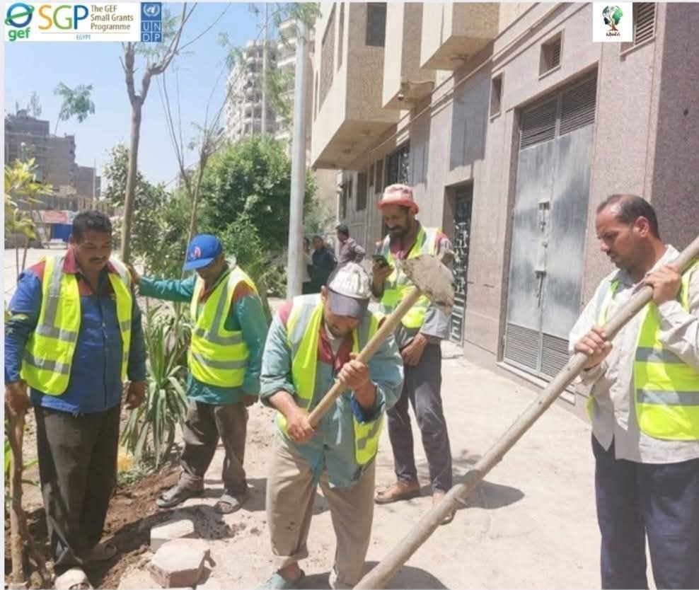 تحويل الميادين لميادين خضراء