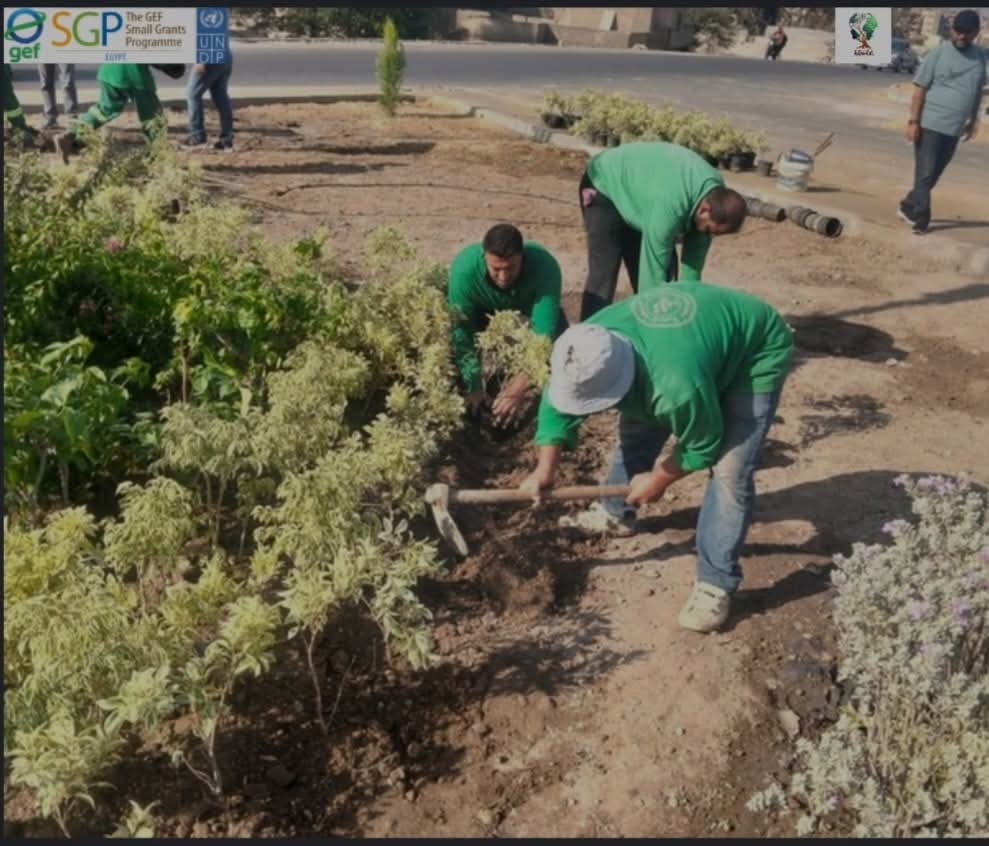 عمال الزراعة يجملون الميادين