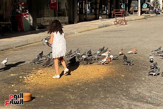 فتاة تطعم الحمام