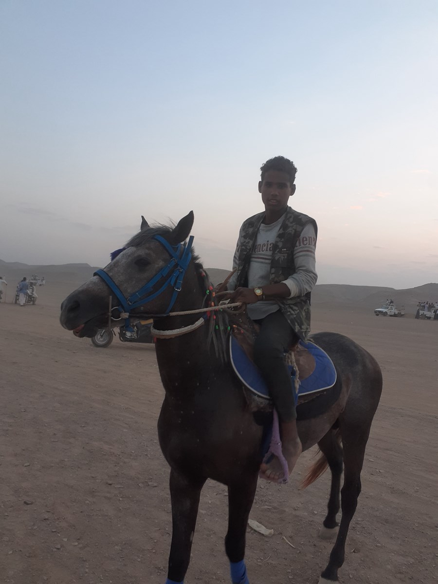 فارس يمتطي جواده