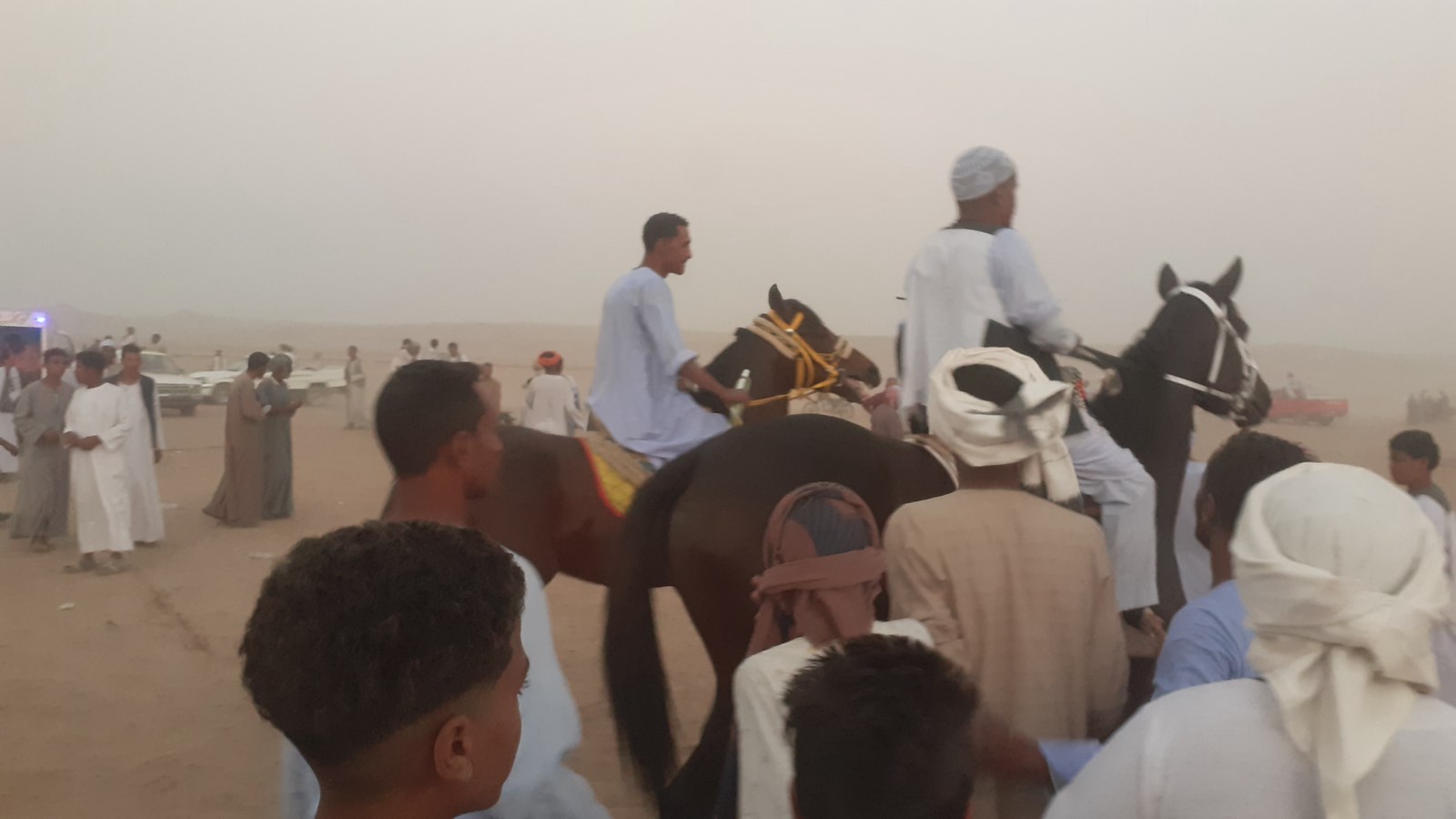 الدور  النهائي للمرماح