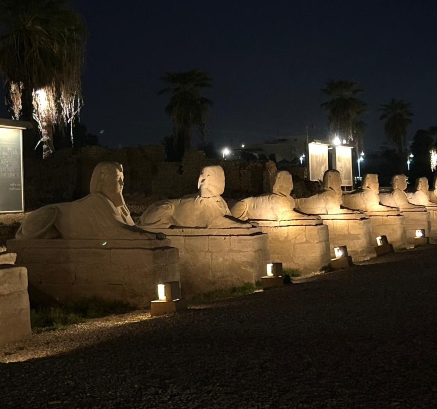 سحر الإضاءة الليلية فى طريق الكباش الفرعونى سحر الإضاءة الليلية فى طريق الكباش الفرعونى