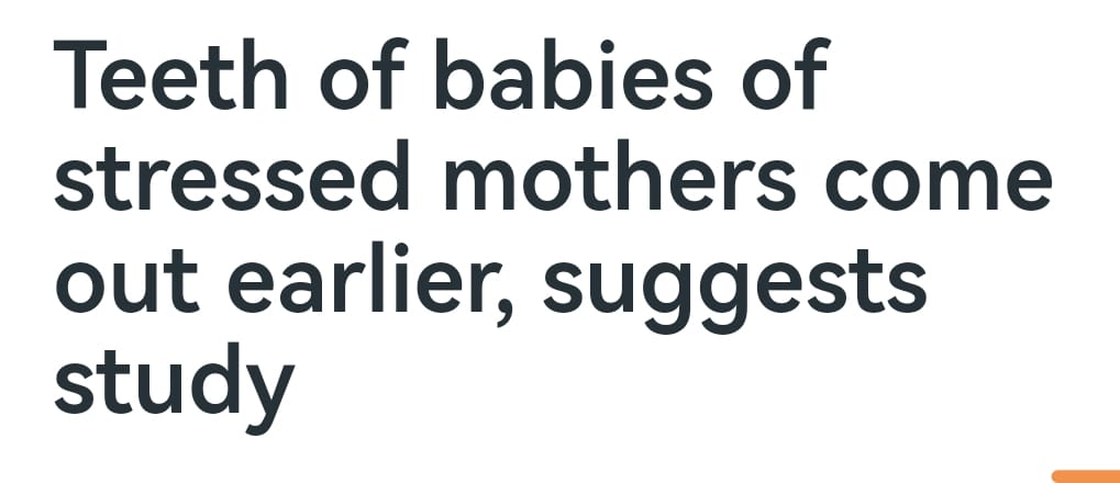 WhatsApp Image 2025-11-18 at 4.14.13 PM WhatsApp Image 2025-11-18 at 4.14.13 PM