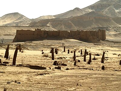 حصن الدير بالواحات الخارجة