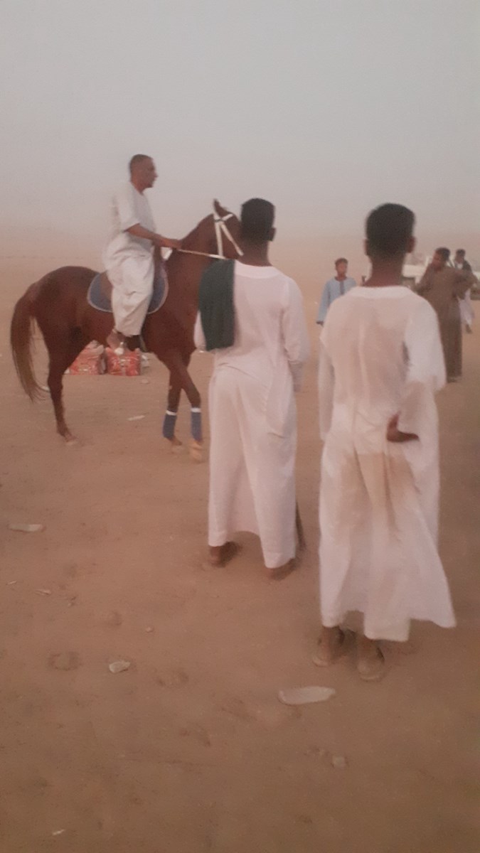 بالقميص أو التكشيطة يتابعان المرماح