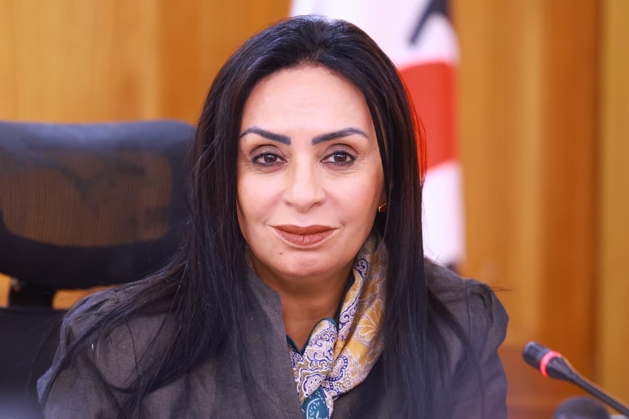 الدكتورة مايا مرسى  خلال ترأس اجتماع بنك ناصر الاجتماعي