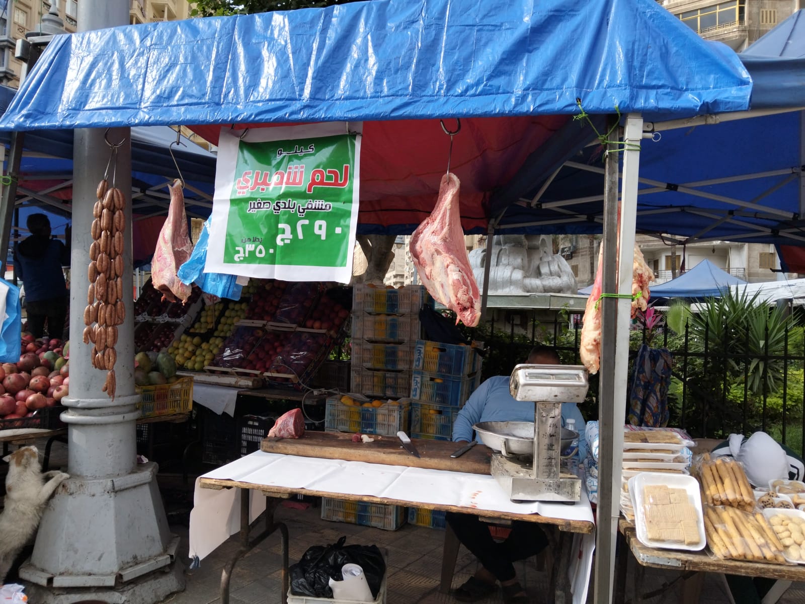 اللحوم7 اللحوم7