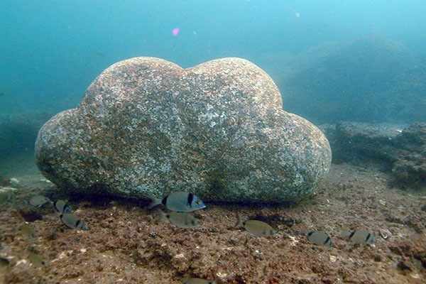 سحر أسفل بحر الاسكندرية