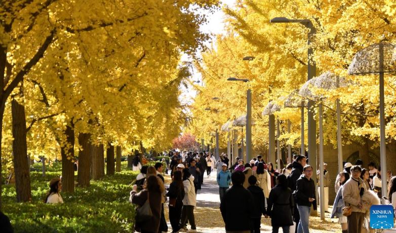 مناظر الخريف في جميع أنحاء الصين (6)