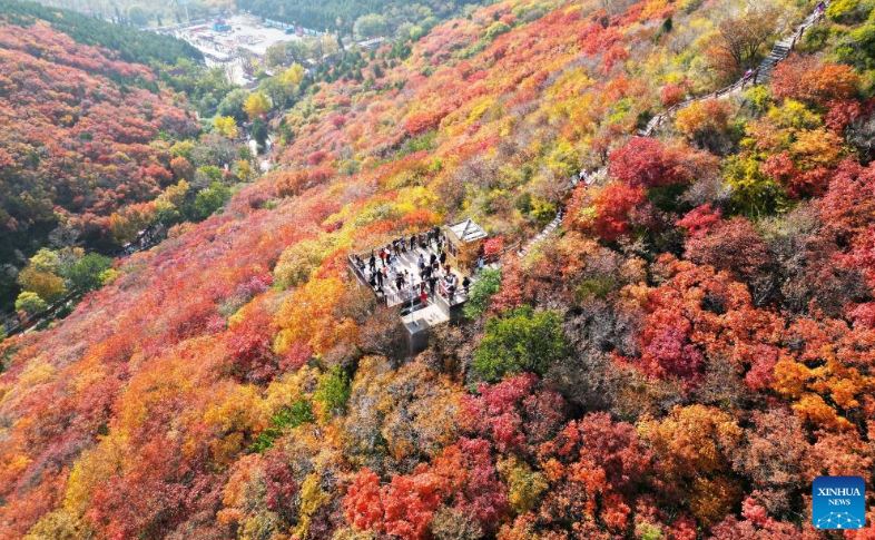 مناظر الخريف في جميع أنحاء الصين (3)