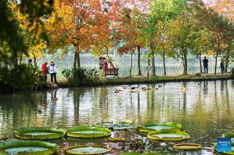 مناظر الخريف في جميع أنحاء الصين (8)