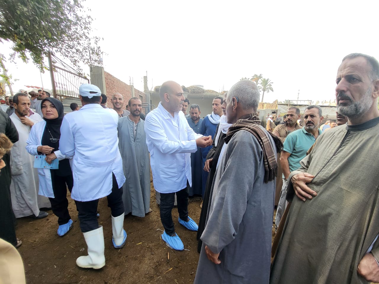 خلال تنفيذ الحملة بشبين القناطر