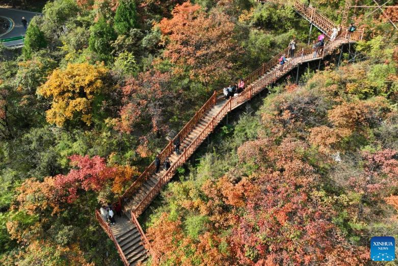 مناظر الخريف في جميع أنحاء الصين (5)