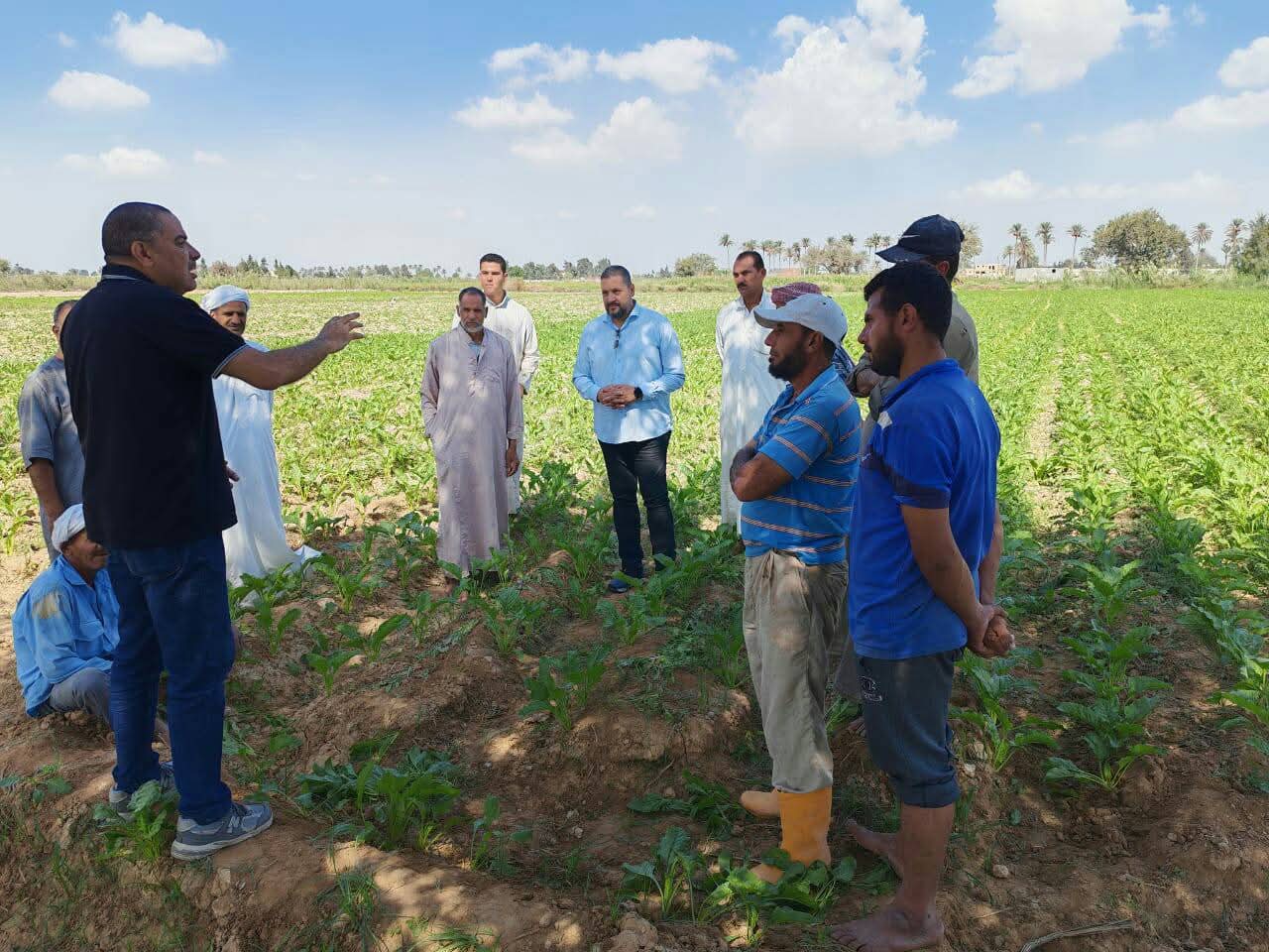 حملات توعية لمزراعى محصول البنجر