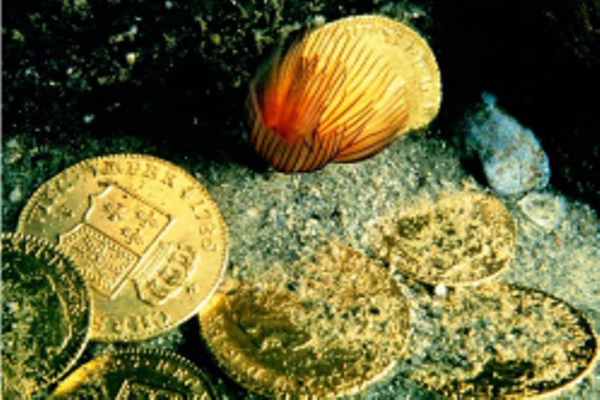 عملات أثرية بأبو قير