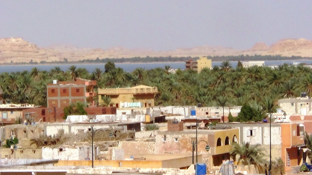 خطة لانقاذ سيوة من تمدد البحيرات وارتفاع منسوبها (9)