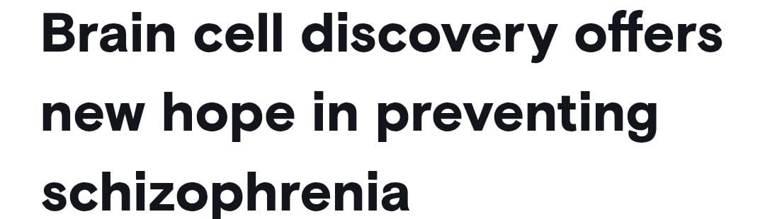 WhatsApp Image 2025-11-02 at 1.12.13 PM